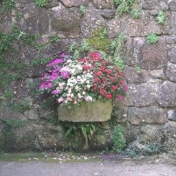 Außenansicht Château d´Andlau Fotos
