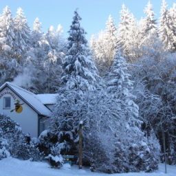 Außenansicht Märchenhotel Waldpension Nebelstein Fotos