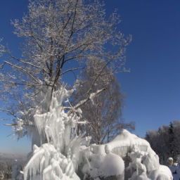 Ausblick Märchenhotel Waldpension Nebelstein Fotos