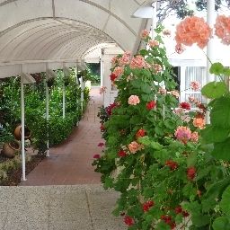 Giardino Luna Fotos