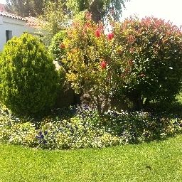 Garden Bon Retorn Fotos