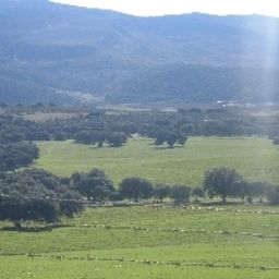 Entorno Maestranza Fotos