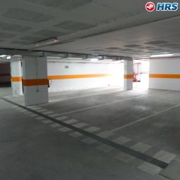  Estrela de Fátima Fotos