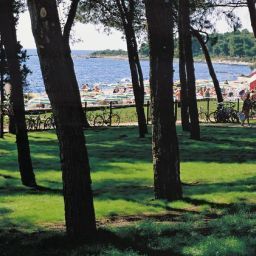Widok z hotelu Sol Aurora All inclusive Fotos