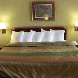 Suite BEST WESTERN Music City Inn Fotos