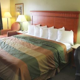 Room BEST WESTERN Music City Inn Fotos