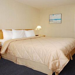 Habitación Comfort Inn Near Santa Monica Pier Fotos