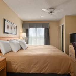 Suite Homewood Suites by Hilton PhoenixBiltmore Fotos