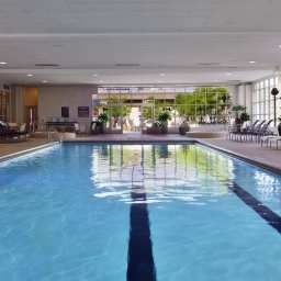 Бассейн Hilton Chicago Fotos
