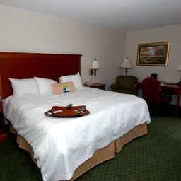 Zimmer Hampton Inn Raleigh-Town of Wake F Fotos