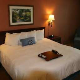 Camera Hampton Inn AlexandriaOld Town Fotos