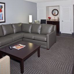 Suite Crowne Plaza TAMPA-WESTSHORE Fotos