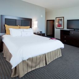 Camera Crowne Plaza TAMPA-WESTSHORE Fotos