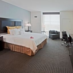 Camera Crowne Plaza TAMPA-WESTSHORE Fotos