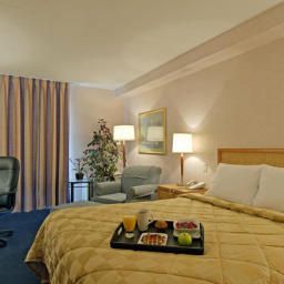 Pokój Comfort Inn Brandon Fotos