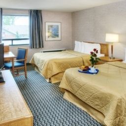 Chambre Comfort Inn South Fotos