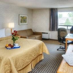 Chambre Comfort Inn South Fotos