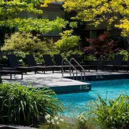 Pool Hilton Montreal Bonaventure Fotos