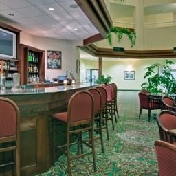 Bar Holiday Inn MONTREAL-LONGUEUIL Fotos