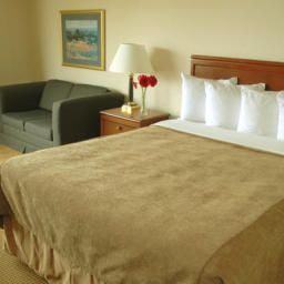 Zimmer Quality Hotel Downtown Fotos