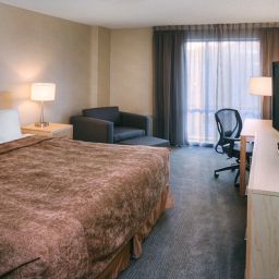 Room Quality Hotel Downtown Fotos