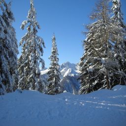  Alpendorf Fotos