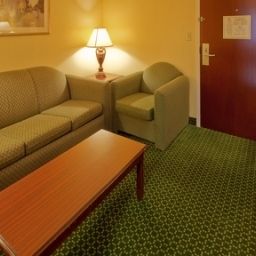Suite Holiday Inn Express Hotel & Suites ARLINGTON (SIX FLAGS AREA) Fotos