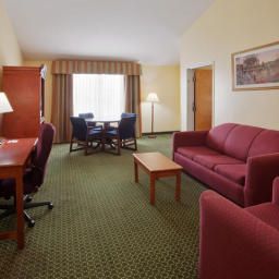 Suite Holiday Inn Express Hotel & Suites ARLINGTON (SIX FLAGS AREA) Fotos