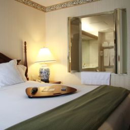 Suite Holiday Inn Express Hotel & Suites ALLEN PARK-DEARBORN Fotos