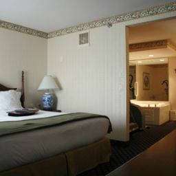 Suite Holiday Inn Express Hotel & Suites ALLEN PARK-DEARBORN Fotos