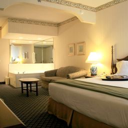 Suite Holiday Inn Express Hotel & Suites ALLEN PARK-DEARBORN Fotos