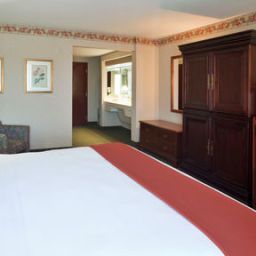 Zimmer Holiday Inn Express Hotel & Suites ALLEN PARK-DEARBORN Fotos