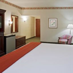 Zimmer Holiday Inn Express Hotel & Suites ALLEN PARK-DEARBORN Fotos