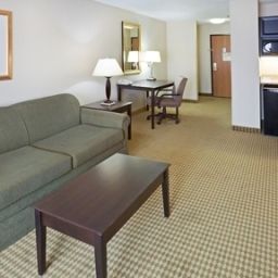 Suite Holiday Inn Express Hotel & Suites FORT WORTH SOUTHWEST (I-20) Fotos