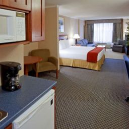 Suite Holiday Inn Express Hotel & Suites EAST GREENBUSH(ALBANY-SKYLINE) Fotos