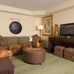 Suite Holiday Inn Express Hotel & Suites GREENVILLE-I-85 & WOODRUFF RD Fotos
