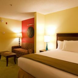 Suite Holiday Inn Express Hotel & Suites GREENVILLE-I-85 & WOODRUFF RD Fotos