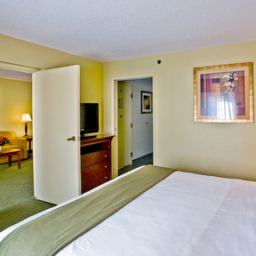 Suite Holiday Inn Express TAMPA-BRANDON Fotos