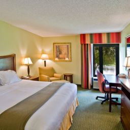 Habitación Holiday Inn Express TAMPA-BRANDON Fotos