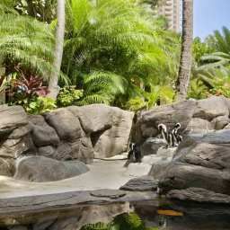  Hilton Hawaiian Village Waikiki Beach Resort Fotos