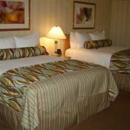 Room Hilton Palm Springs Resort Fotos