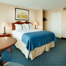 Zimmer Holiday Inn BUFFALO-DOWNTOWN Fotos