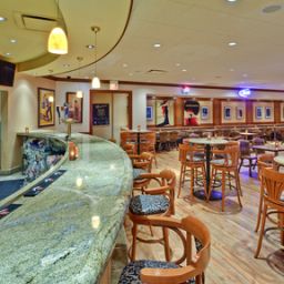 Bar Holiday Inn CHICAGO SW-COUNTRYSIDE CONFCTR Fotos