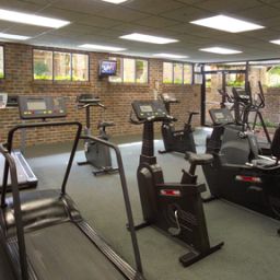 Wellness/fitness area Holiday Inn CHICAGO SW-COUNTRYSIDE CONFCTR Fotos