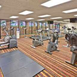 Wellness/fitness area Holiday Inn CHICAGO SW-COUNTRYSIDE CONFCTR Fotos