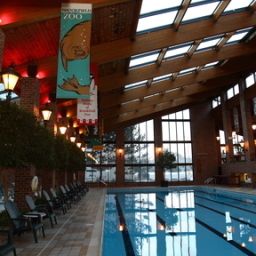 Pool Holiday Inn CHICAGO SW-COUNTRYSIDE CONFCTR Fotos