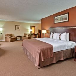 Suite Holiday Inn CHICAGO SW-COUNTRYSIDE CONFCTR Fotos