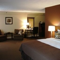 Suite Holiday Inn CHICAGO SW-COUNTRYSIDE CONFCTR Fotos