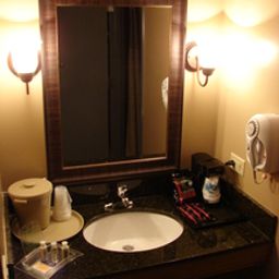 Holiday Inn CHICAGO SW-COUNTRYSIDE CONFCTR Fotos