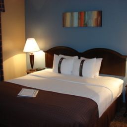 Room Holiday Inn CHICAGO SW-COUNTRYSIDE CONFCTR Fotos